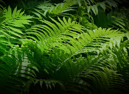 ����� | �ٷ���վ